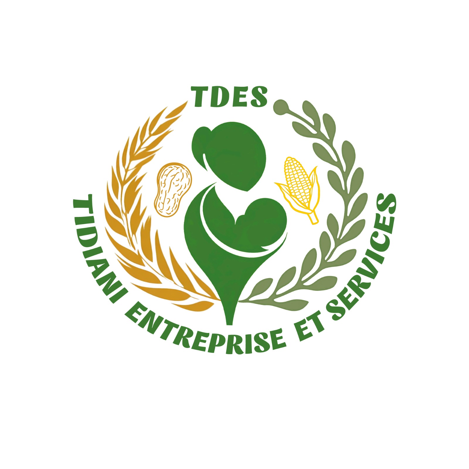Tidiani Entreprise et Services (TDES)