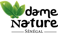 Logo de Dame Nature Sénégal