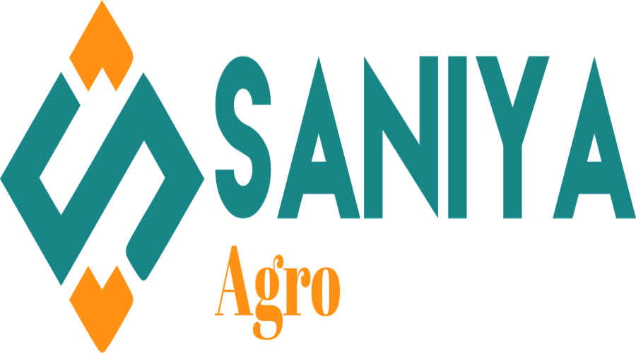 seynabou SAMBA